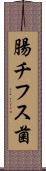 腸チフス菌 Scroll