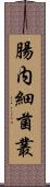 腸内細菌叢 Scroll