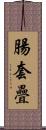腸套疊 Scroll