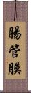 腸管膜 Scroll