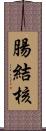 腸結核 Scroll