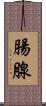 腸腺 Scroll