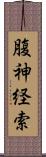 腹神経索 Scroll