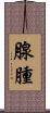 腺腫 Scroll