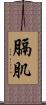 膈肌 Scroll