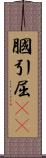 膕 Scroll