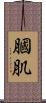 膕肌 Scroll