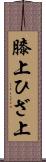 膝上 Scroll