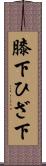 膝下 Scroll