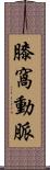 膝窩動脈 Scroll