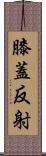 膝蓋反射 Scroll