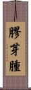 膠芽腫 Scroll