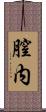 膣内 Scroll