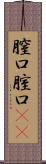 膣口 Scroll