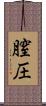 膣圧 Scroll