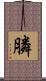膦 Scroll