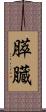 膵臓 Scroll