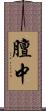 膻中 Scroll
