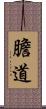 膽道 Scroll