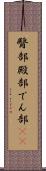 臀部 Scroll