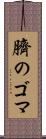 臍のゴマ Scroll