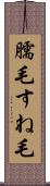 臑毛 Scroll