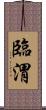 臨渭 Scroll