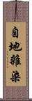 自地雜染 Scroll