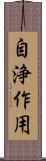 自浄作用 Scroll
