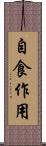 自食作用 Scroll