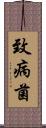 致病菌 Scroll