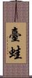 臺蛙 Scroll