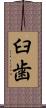 臼歯 Scroll