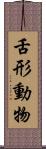 舌形動物 Scroll