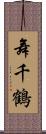 舞千鶴 Scroll