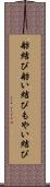 舫結び Scroll