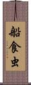 船食虫 Scroll