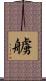 艣 Scroll