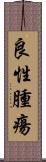 良性腫瘍 Scroll