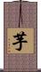 芋 Scroll