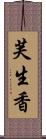 芙生香 Scroll