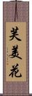 芙美花 Scroll