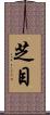 芝目 Scroll