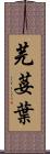 芫荽葉 Scroll