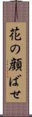 花の顔ばせ Scroll