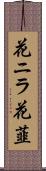 花ニラ Scroll