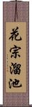 花宗溜池 Scroll