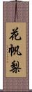 花帆梨 Scroll