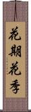 花期 Scroll