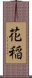 花稲 Scroll